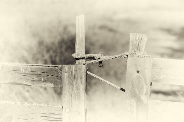istock Closed Norway farm fence sepia background 648726584