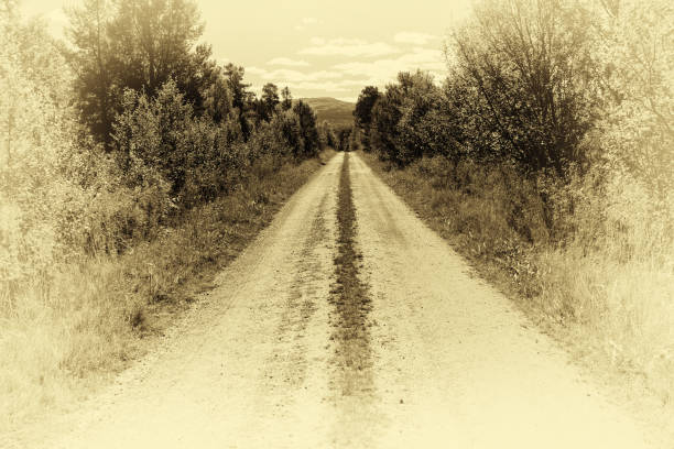 Norway countyside road in sepia background hd