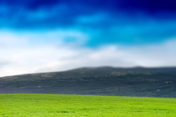 Norway summer meadow with hills landscape background hd