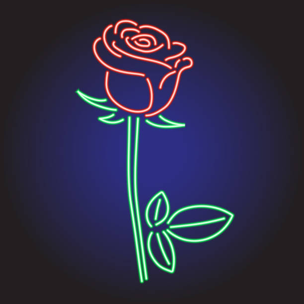 Rose Neon Glowing On Dark Background Of Vector Illustration Stock  Illustration - Download Image Now - iStock