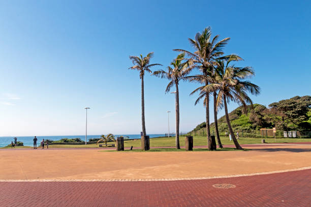 istock Red Paved Promenade on  Beachfront City Landscape 648769066