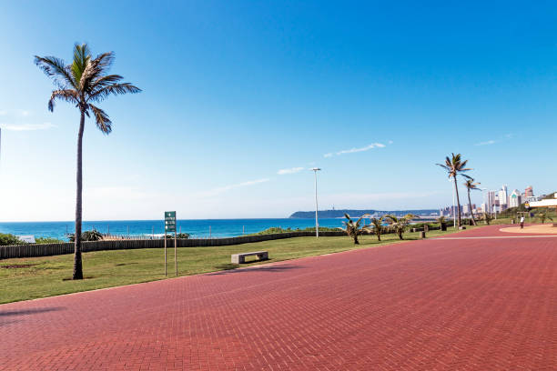 istock Red Paved Promenade on  Beachfront City Landscape 648769350