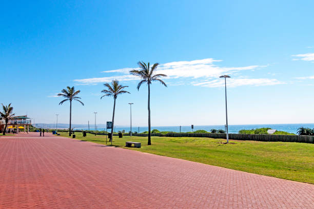 istock Red Paved Promenade on  Beachfront City Landscape 648769384