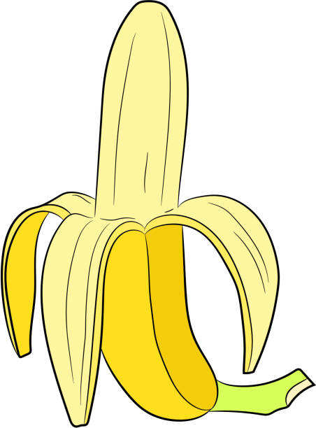 ilustrações, clipart, desenhos animados e ícones de banana descascada metade vertical de ilustrações vetoriais - banana peeled banana peel white background