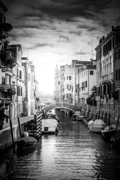 Photo of Gondolas in Venice