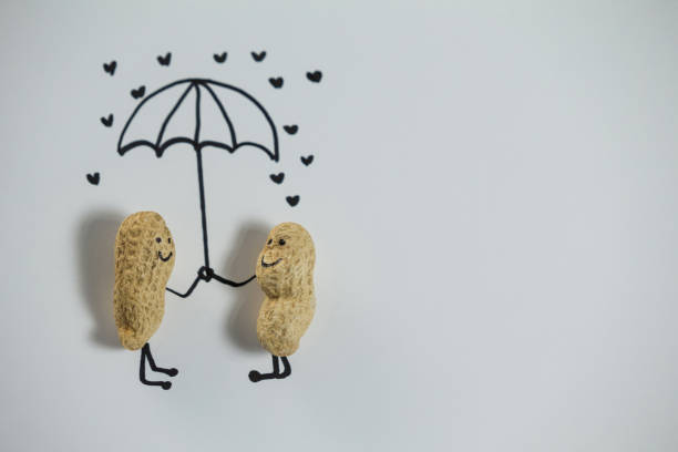 Conceptual image peanut figurine couple standing under umbrella on white background
