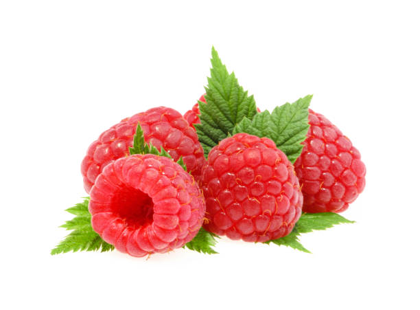 istock Raspberries with leaves isolated 648810274