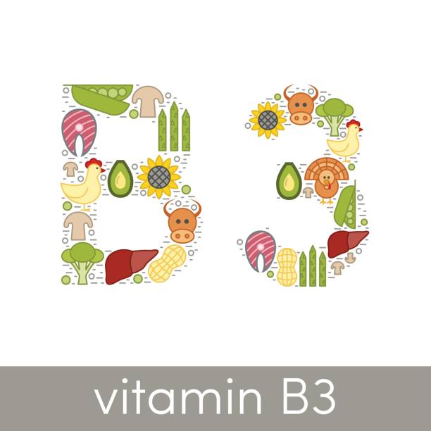 Vitamin B3 vector Letter B and number 3 symbolizing vitamin B3 concept vitamin b 3 stock illustrations