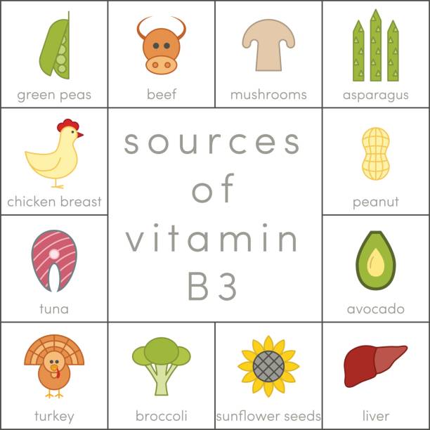 Vitamin B3 vector Sources of vitamin B3, vector food icons for infographic vitamin b 3 stock illustrations