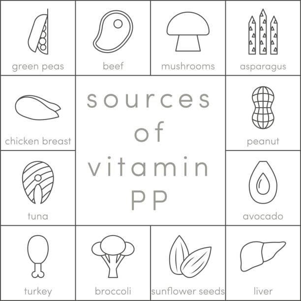 ilustraciones, imágenes clip art, dibujos animados e iconos de stock de vector de vitamina pp - vitamina b 3