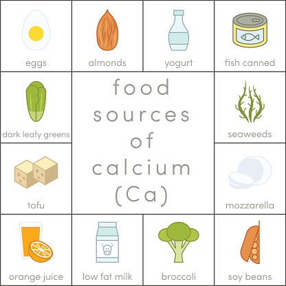 Food sources of calcium, vector flat food icons for infographic