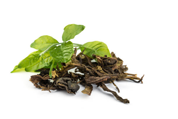 istock dry  jasmin tea leaves. 648818812