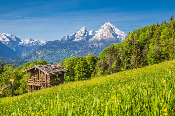 paisaje idílico de la primavera en los alpes con lodge de montaña tradicional - shack european alps switzerland cabin fotografías e imágenes de stock