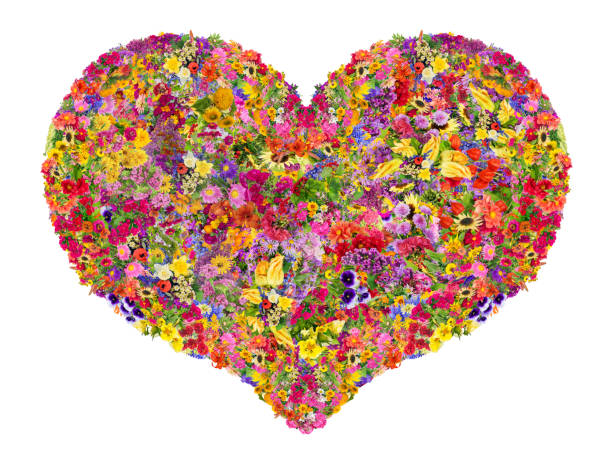 istock Summer heart concept is made from bright  summer flowers. Abstract handmade isolated  collage 648822584
