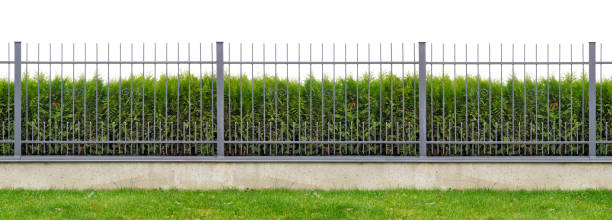 Metal village mass production  long gray fence  isolated panorama collage. Behind the fence is growing evergreen hedge of Thuja tree. stock photo