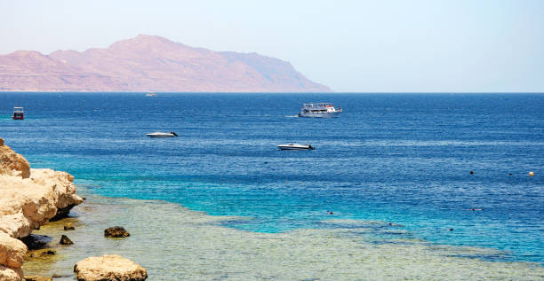 istock Red Sea coastline in Sharm El Sheikh, Egypt, Sinai 648833320