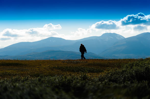 istock Shadow of lonely traveller in Norway background 648835696