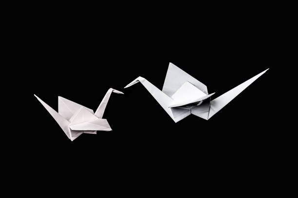 Three of Origami Shrimp