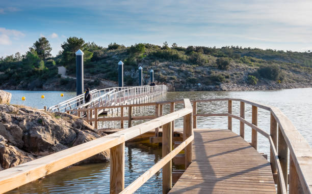 istock Footbridge above the swamp 648841302