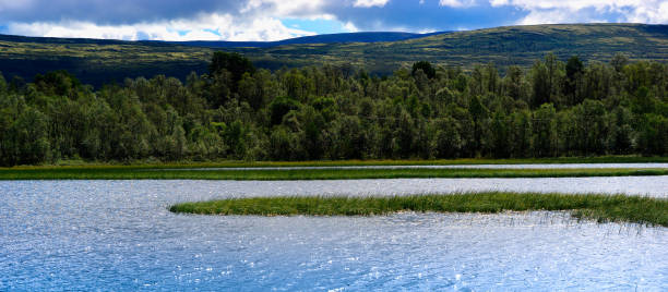 istock Norway lake landscape background 648844666