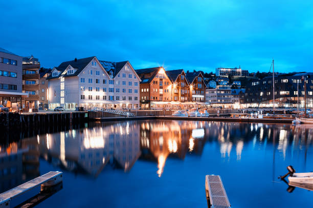 istock Tromso night city background 648848560