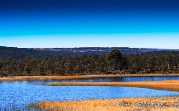 istock Norway autumn lake landscape background 648875552