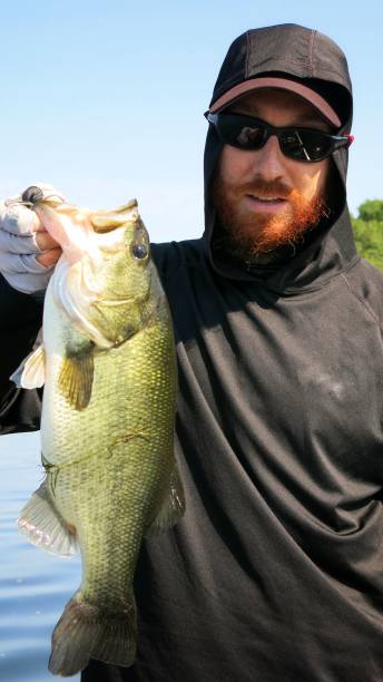 istock Male Age 30s Catches Largemouth Bass Fish, Lake champlain, NY 648877936