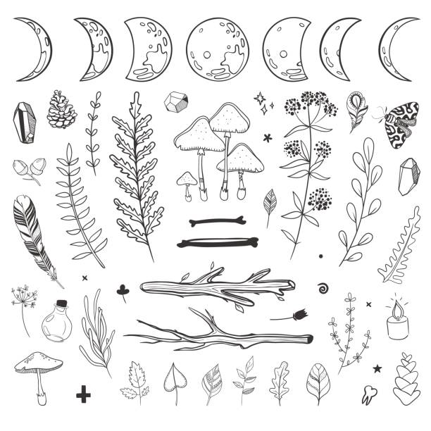 shamanic floral set Mystic set of shamanic and occult objects. Vector natural doodles isolated on white. harmonia stock illustrations