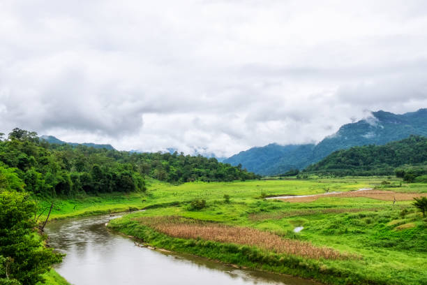 istock Green field and curved river in mountain 648880100