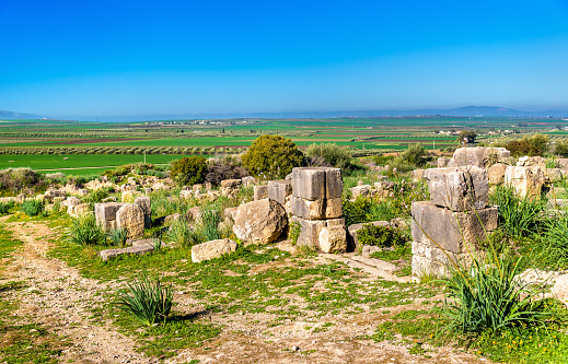 Ruins of Volubilis, a Berber and Roman city in Morocco. UNESCO world heritage site