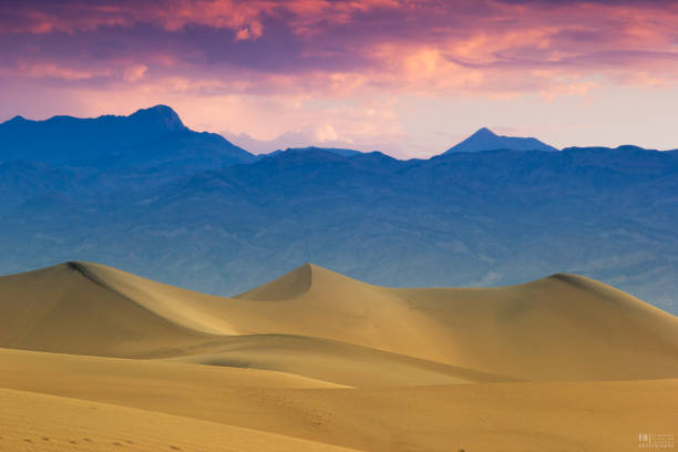 dunas planas de mesquite, parque nacional del valle de la muerte, california, ee.uu. - sand dune sand orange california fotografías e imágenes de stock