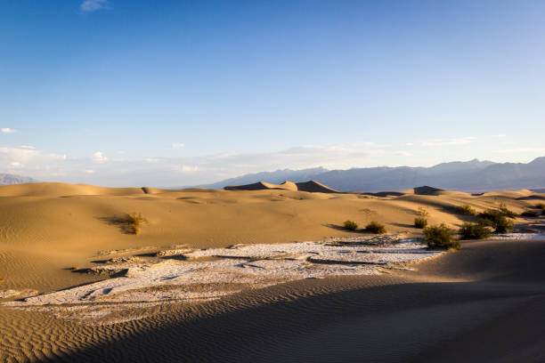 dunas planas de mesquite, parque nacional del valle de la muerte, california, ee.uu. - sand dune sand orange california fotografías e imágenes de stock