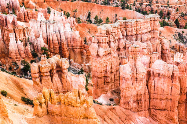 istock Bryce Canyon hoodoos, Utah, USA 648913086