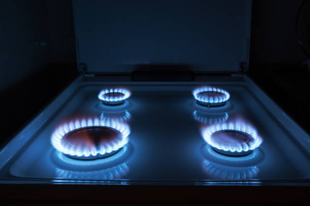 istock Flame on burner of gas stove 648913366