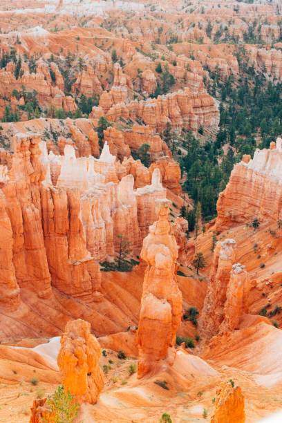 istock Bryce Canyon hoodoos, Utah, USA 648913398