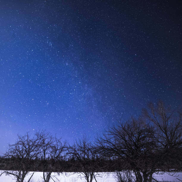 istock Rural Winter Landscape at night with trees and stars 648916352