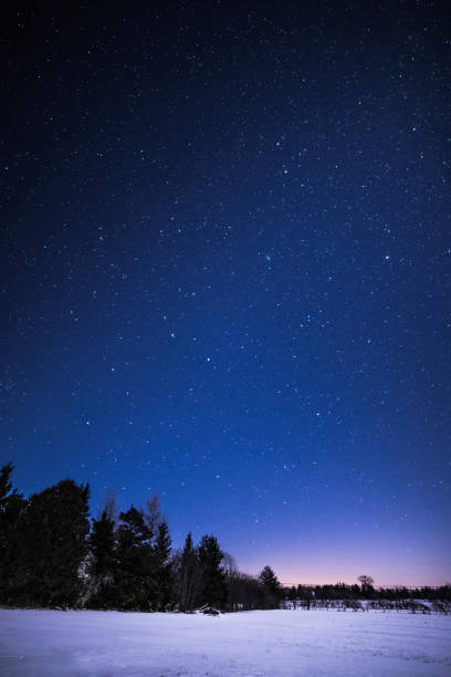 istock Rural Winter Landscape at night with trees and stars 648917424