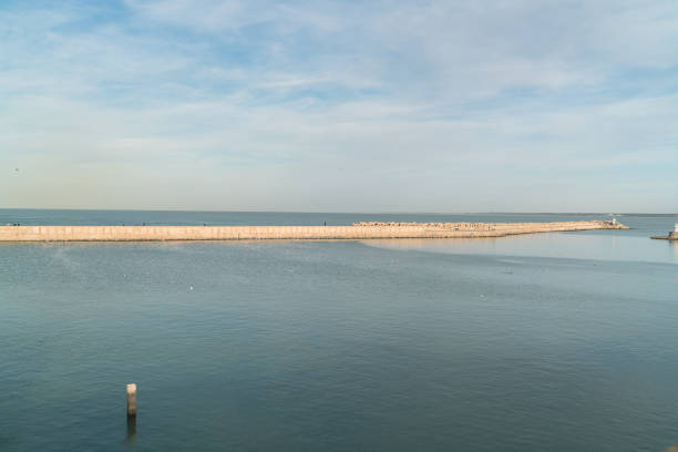 istock Skala du Port fortifications in Essaouira, Morocco 648923192