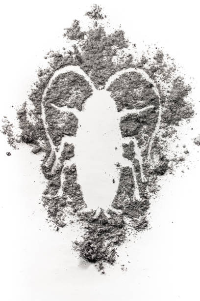 istock Cockroach silhouette drawing made in ash, dust, dirt, filth 648923378