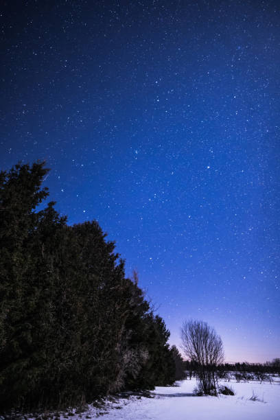 istock Rural Winter Landscape at night with trees and stars 648926912