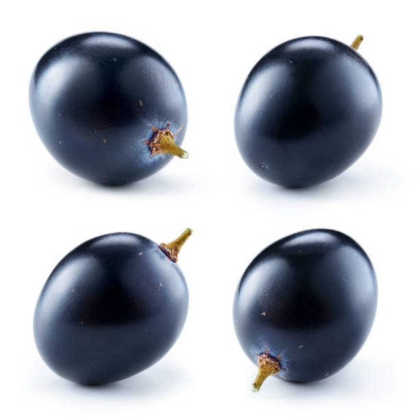 istock Dark blue grape isolated on white background. One berry. Collection. 648927048