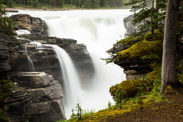 istock Waterfall over steep rocky cliffs with green vegetation to the right 648927240