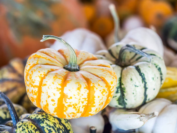istock Closeup of yellow and white pumpkin 648927908