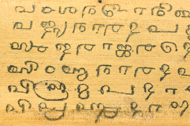 detail of a preserved palm leaf (borassus flabellifer) manuscripts stock photo