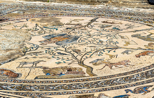 Mosaics of Ancient City of Ephesus