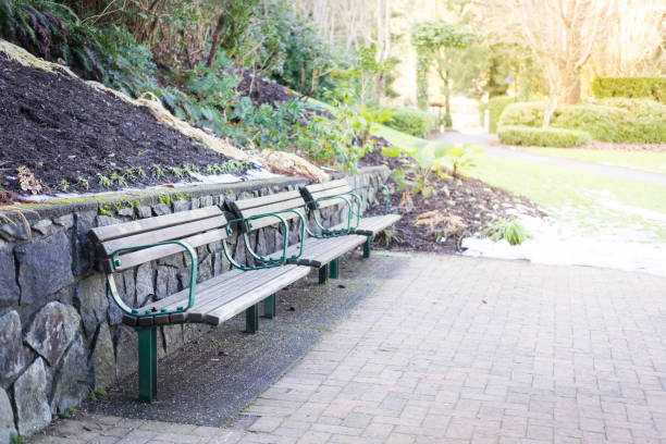 wooden bench in the park - autumn street single lane road tree imagens e fotografias de stock