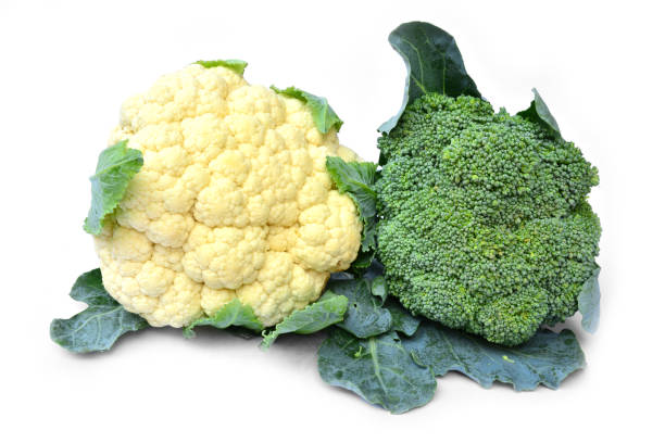 istock Fresh broccoli for healthy isolated on white background 648946530
