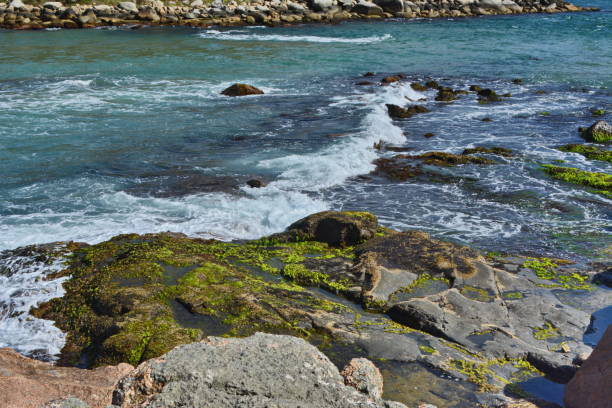 The beautiful beaches of Imbituba in Santa Catarina, Brazil, on a beautiful sunny day. An excellent place to spend holidays, tourism, fishing, surfing with a lot of natural beauty and also with a harbor. Photo taken on 01/20/2016.