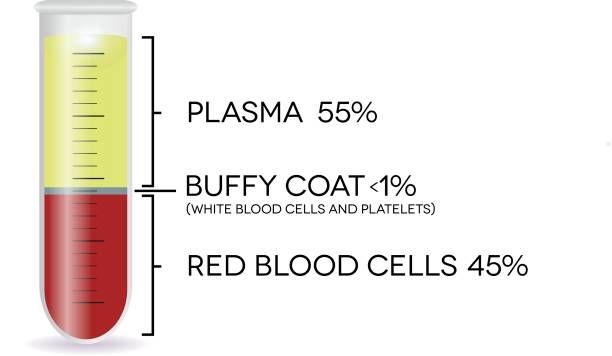 혈액 세포를 가진 시험 관 - blood cell anemia cell structure red blood cell stock illustrations