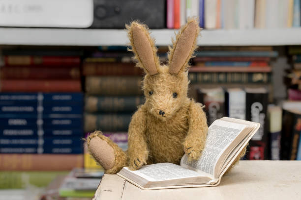 istock Vintage toy rabbit reading with book background. 648949984